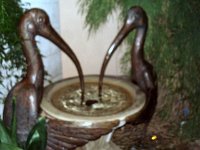 photos 2000-200902575